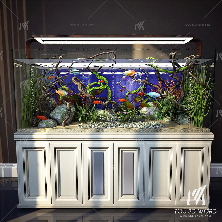 Aquarium 3